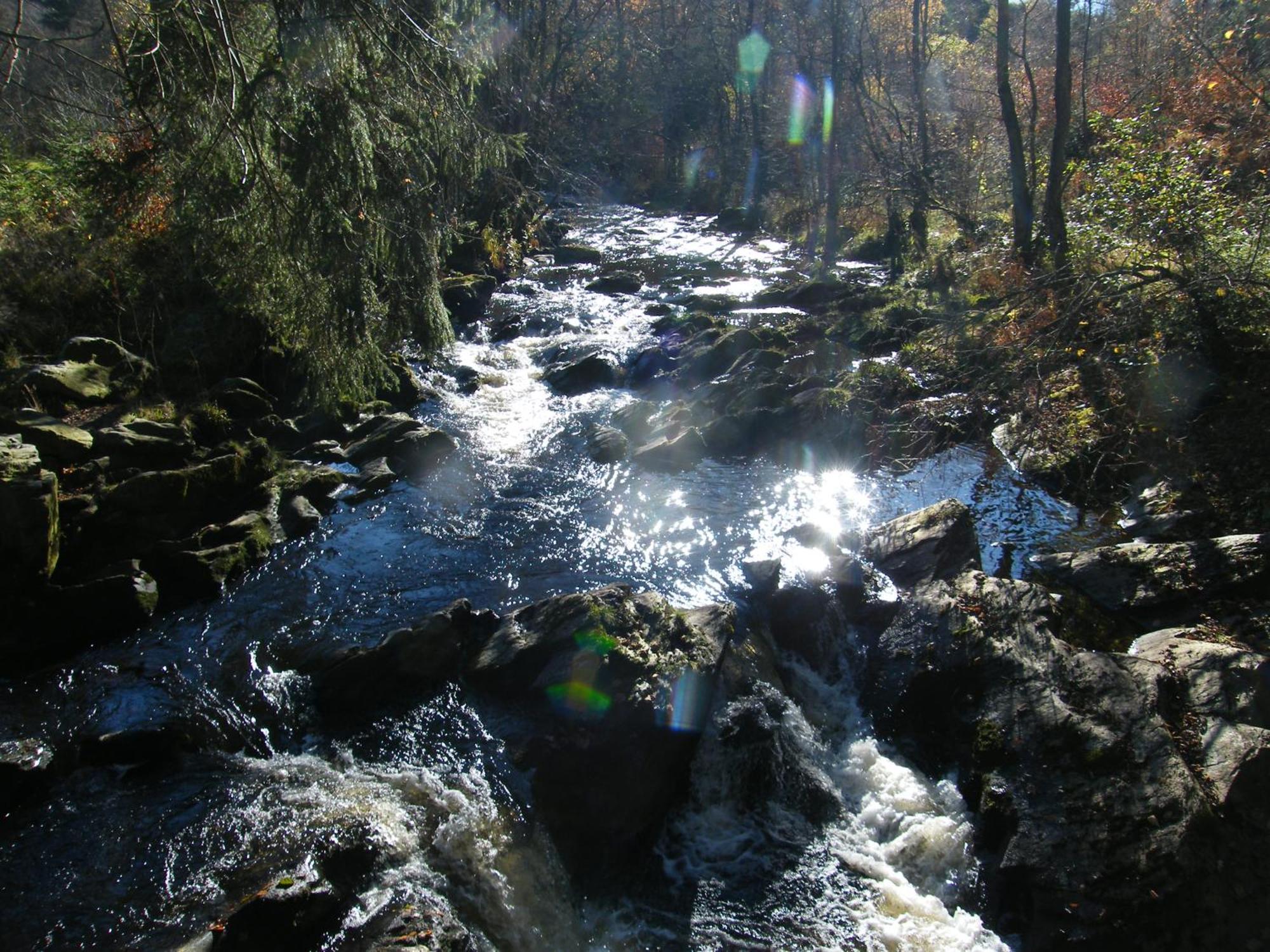 Apartment Am Fluss Im Haus An Der Rur Monschau Dış mekan fotoğraf